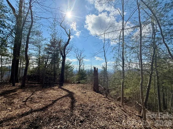 $499,000 | 0 Rambling Ridge Road, Unit 16, Asheville, NC 28804
