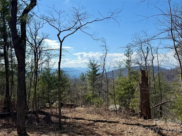 $499,000 | 0 Rambling Ridge Road, Unit 16, Asheville, NC 28804