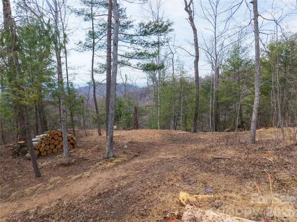 $499,000 | 0 Rambling Ridge Road, Unit 16, Asheville, NC 28804