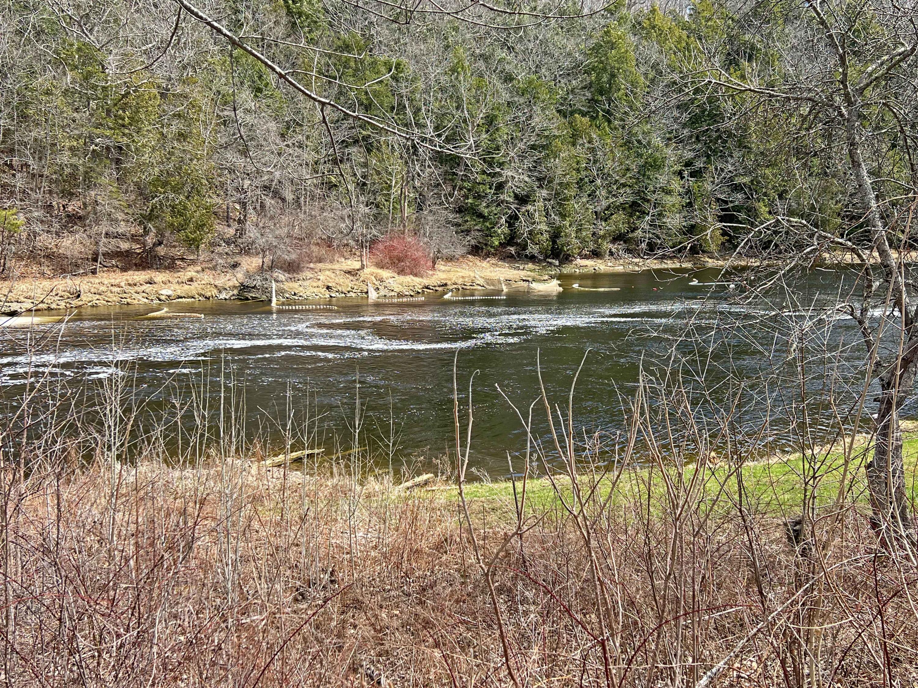 28 Fish Point Road Orland, ME 04472 - Photo 37 of 37 5b