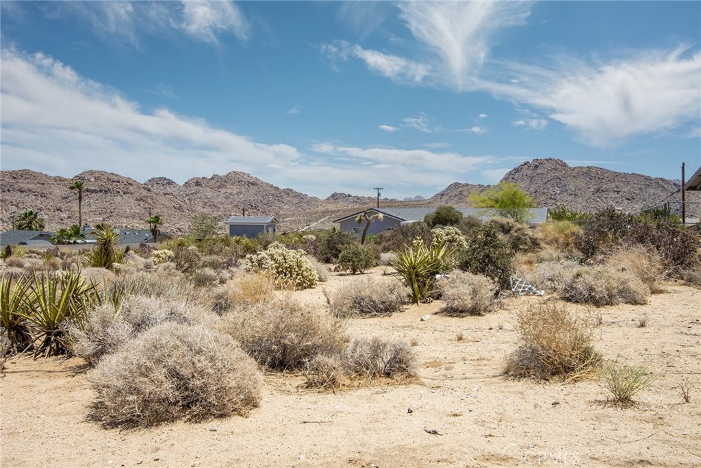 7800 Sunset Road Joshua Tree, CA 92252 - Photo 13 of 15 a view of a covered with snow in the background