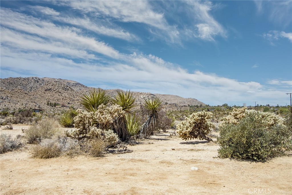 7800 Sunset Road Joshua Tree, CA 92252 - Photo 14 of 15 a view of a snow on the beach