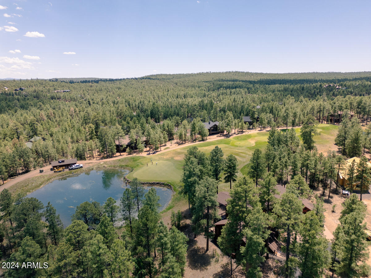 4051 West Falling Leaf Road Show Low, AZ 85901 - Photo 10 of 77 an aerial view of residential houses with outdoor space and trees