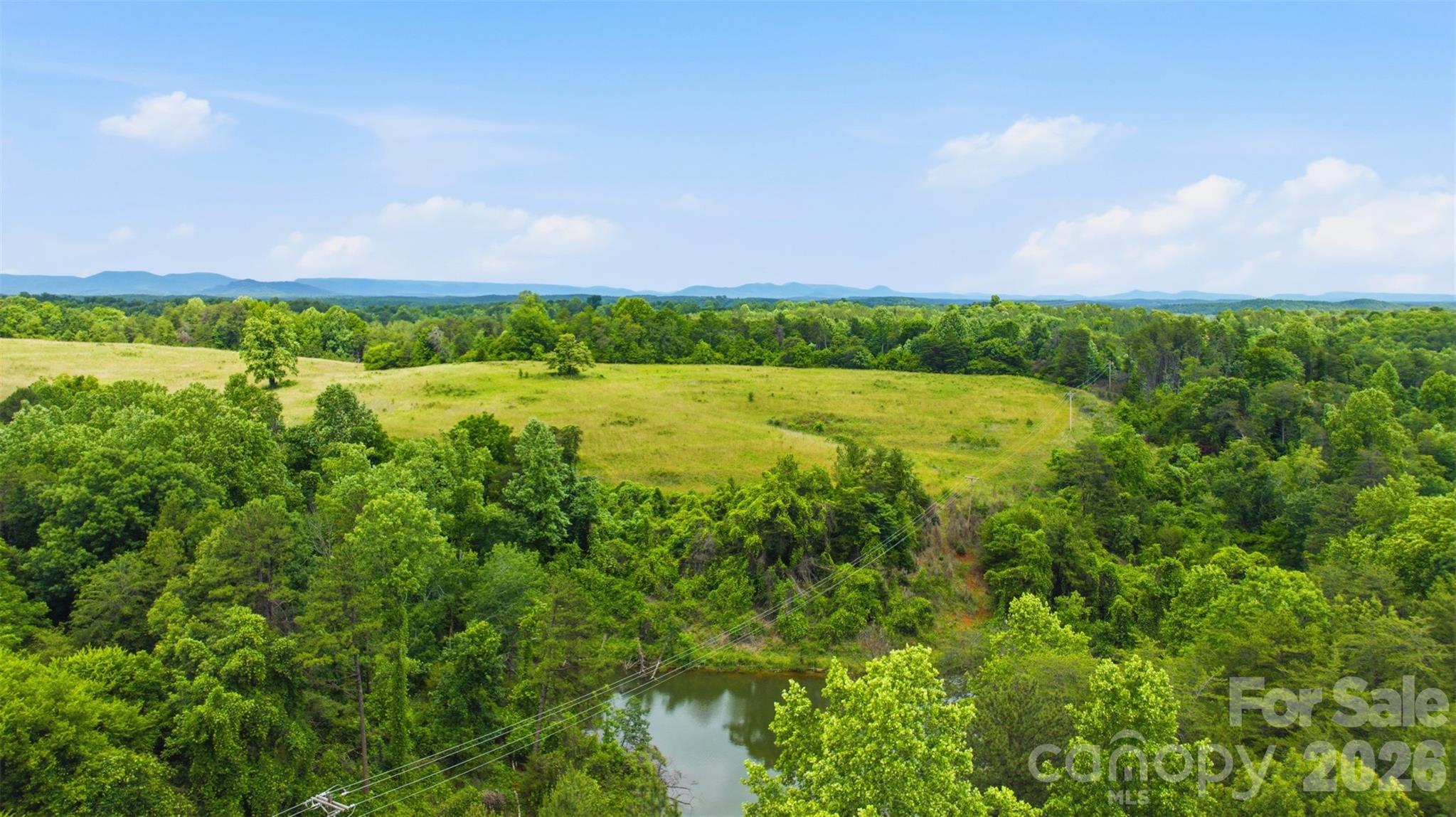 536 Pea Ridge Road Mill Spring, NC 28756 - Photo 7 of 9