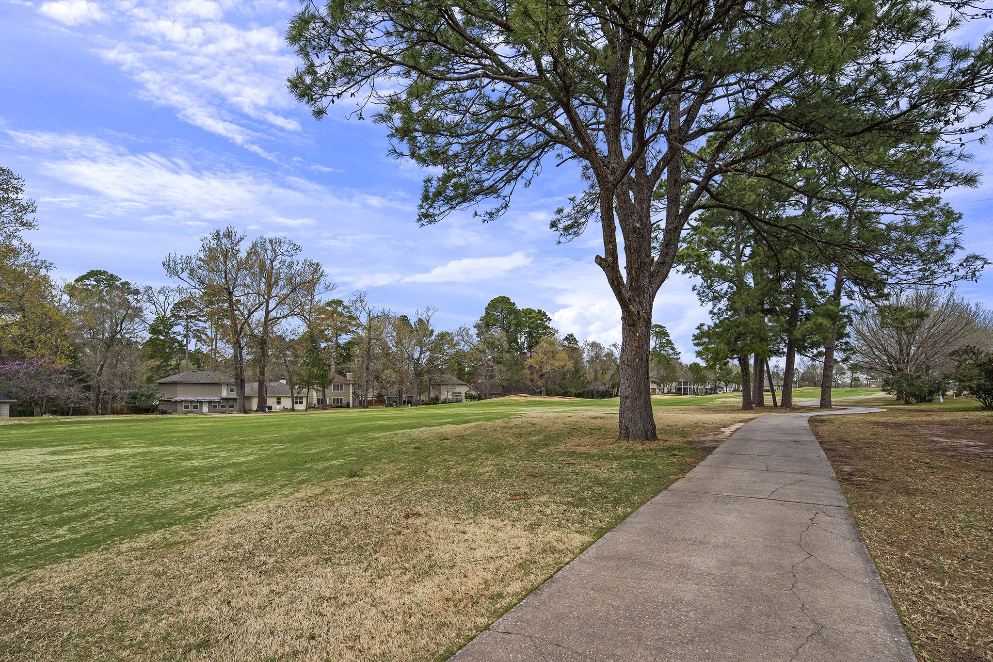 13151 Walden Road, Unit 195 Montgomery, TX 77356 - Photo 33 of 35 a view of a yard with plants and trees