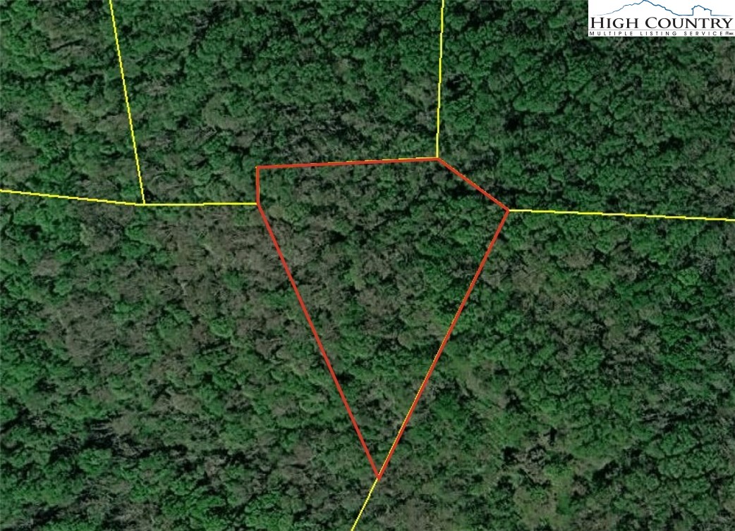 Ed Williams Road Vilas, NC 28692 - Photo 1 of 2 a view of a yard