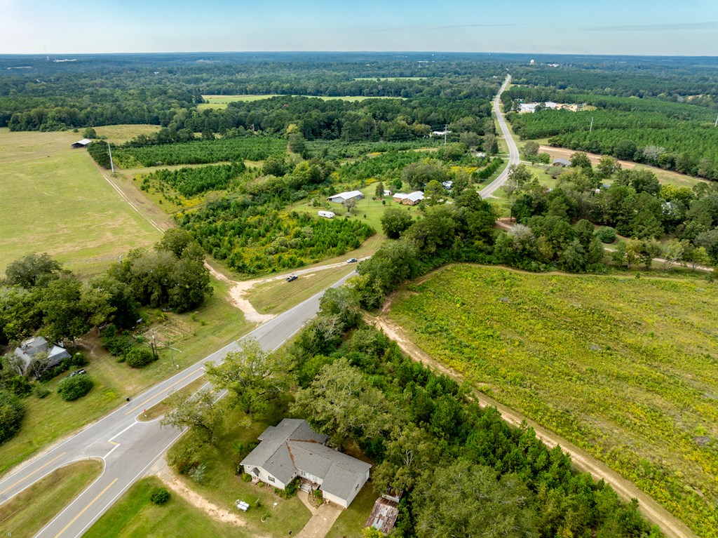 95 (columbia Rd) Road Abbeville, AL 36310 - Photo 19 of 41