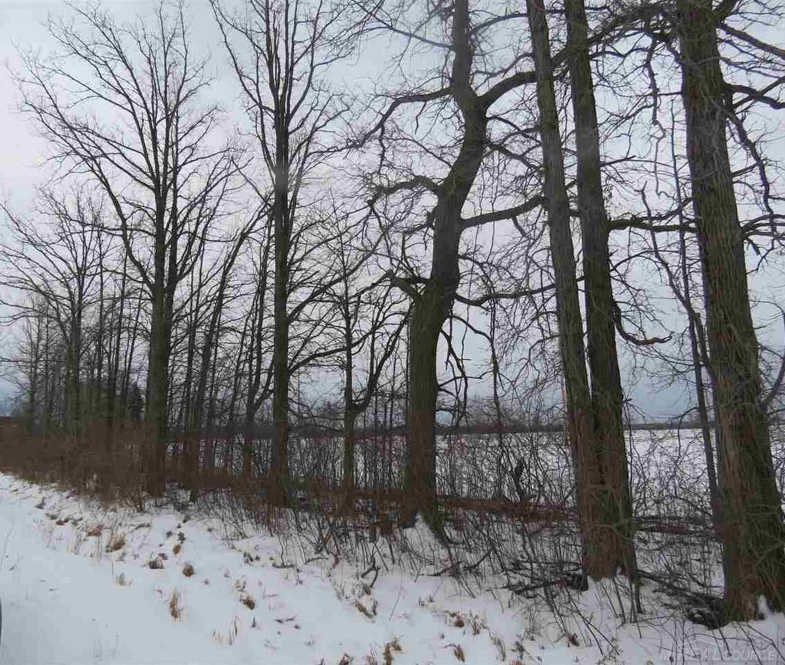 0 Fisher Road Avoca, MI 48006 - Photo 1 of 6