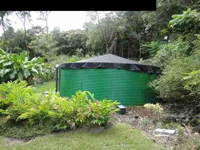 377 Ulaino Road, Unit KAWELA RIDGE LOT 7 Hana, HI 96713 - Photo 20 of 30 a green field with lots of bushes