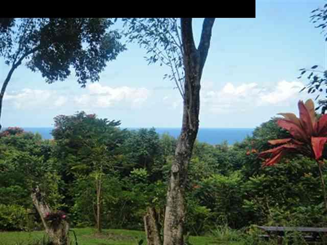 377 Ulaino Road, Unit KAWELA RIDGE LOT 7 Hana, HI 96713 - Photo 2 of 30 a view of a tree in a yard