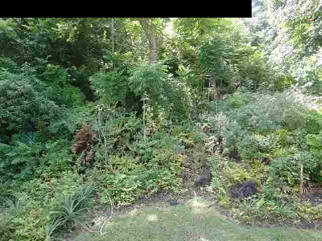 377 Ulaino Road, Unit KAWELA RIDGE LOT 7 Hana, HI 96713 - Photo 28 of 30 a view of a lush green forest