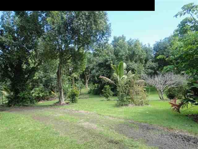 377 Ulaino Road, Unit KAWELA RIDGE LOT 7 Hana, HI 96713 - Photo 4 of 30 a view of a green field with lots of bushes