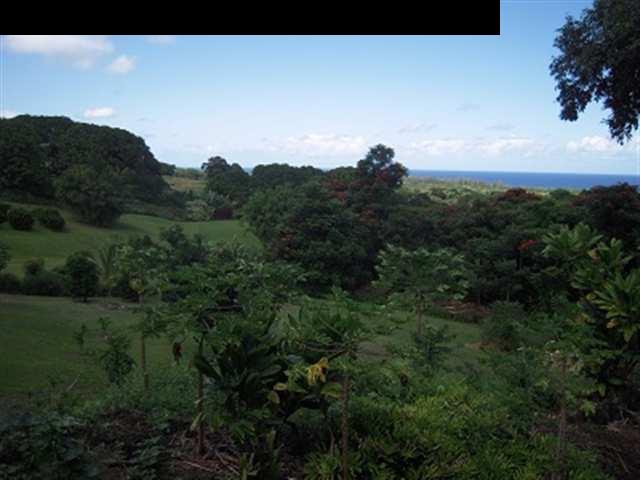 377 Ulaino Road, Unit KAWELA RIDGE LOT 7 Hana, HI 96713 - Photo 9 of 30 a view of a city and a mountain view