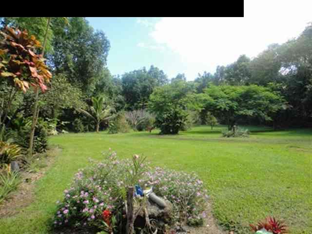 377 Ulaino Road, Unit KAWELA RIDGE LOT 7 Hana, HI 96713 - Photo 10 of 30 a view of a garden with a tree