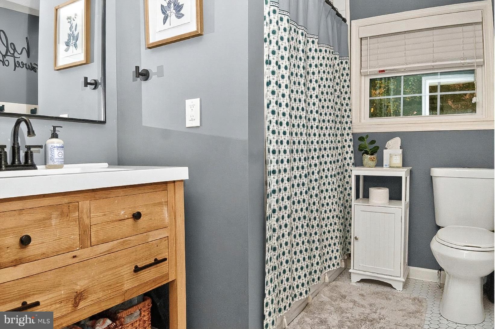 9263 East Springfield Road Seven Valleys, PA 17360 - Photo 7 of 20 a bathroom with a sink a toilet and shower