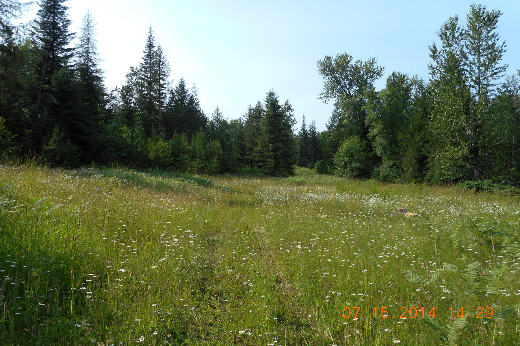 160-ac Off 160-ac Off Cresthaven Sandpoint, ID 83864 - Photo 1 of 1 Absolutely beautiful 160 acre