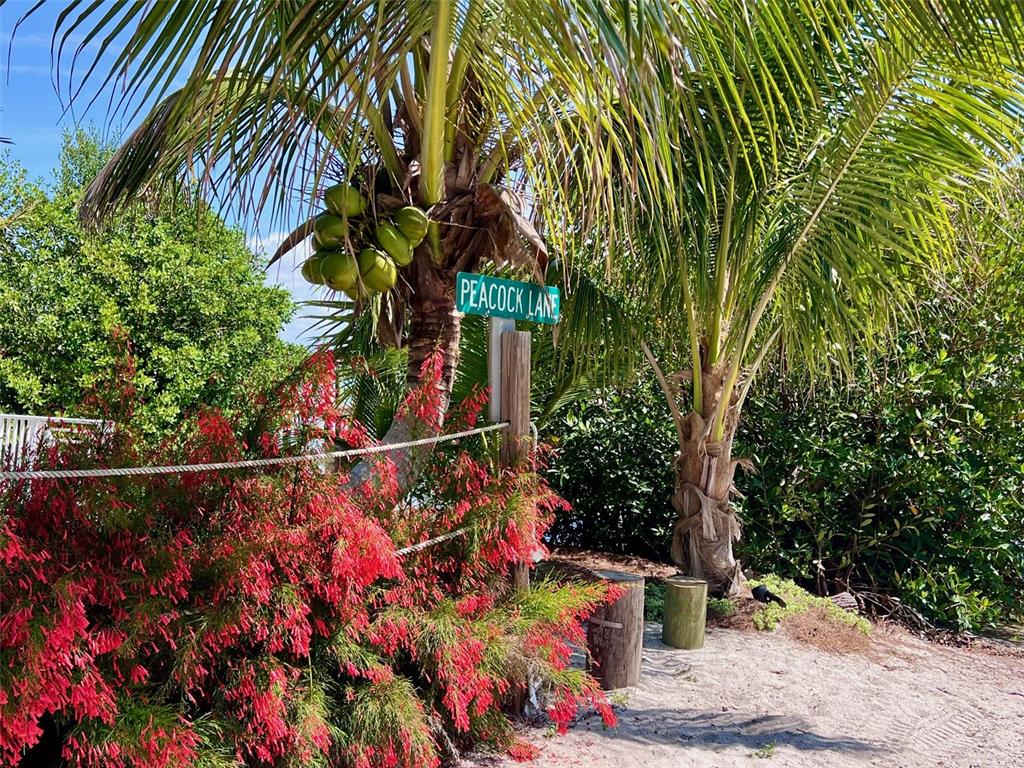 8302 Little Gasparilla Boca Grande, FL 33921 - Photo 58 of 67