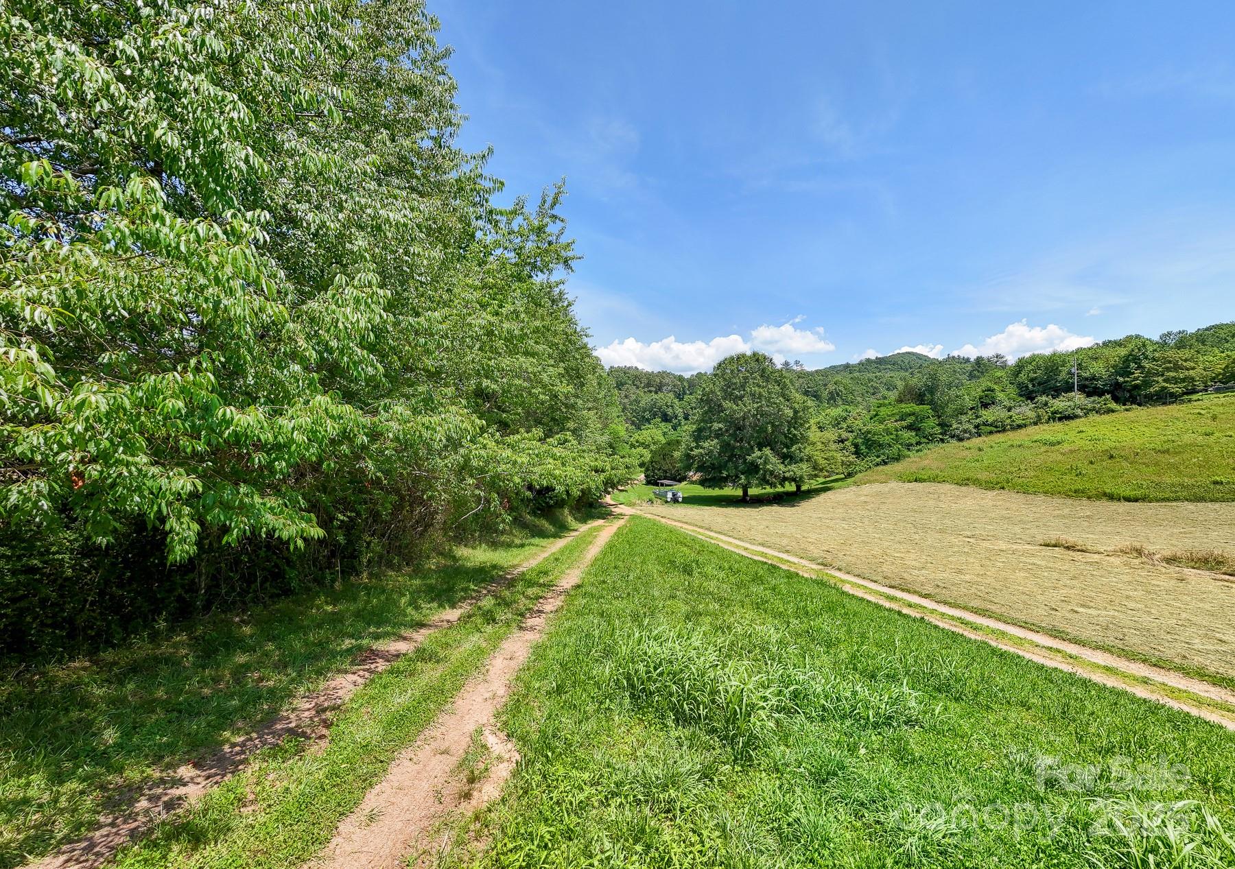42 Leonard Davis Road Robbinsville, NC 28771 - Photo 45 of 45 Gallery Image 45