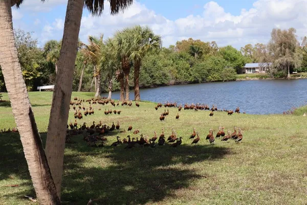 $2,400 | 880 Van Gogh Road, Englewood, FL 34223