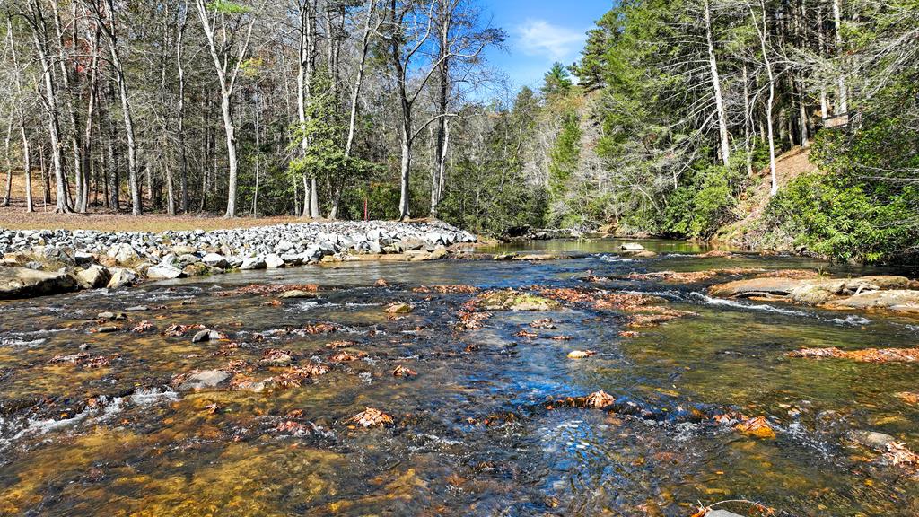 2 Hudson Hollow Road Blue Ridge, GA 30513 - Photo 2 of 12
