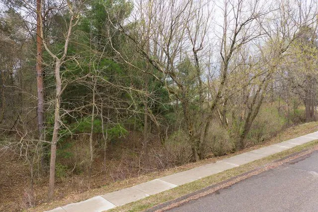 $20,000 | 0 Bond Street, Harrison, MI 48625