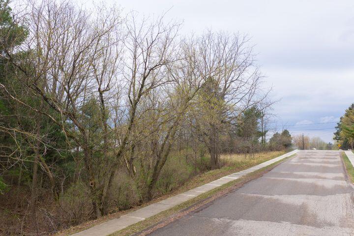 0 Bond Street Harrison, MI 48625 - Photo 3 of 14 20230417174711581833000000-o