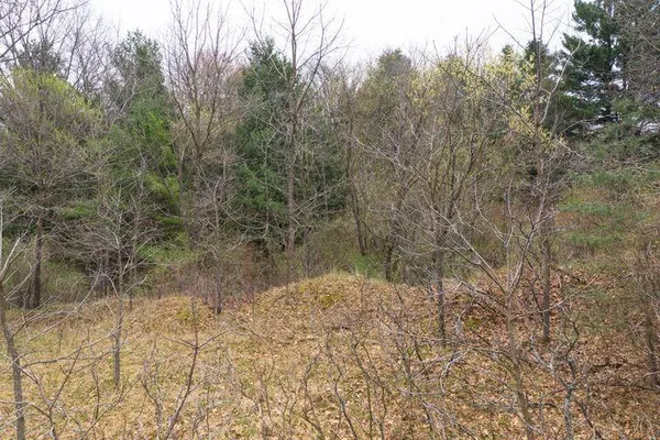 $20,000 | 0 Bond Street, Harrison, MI 48625