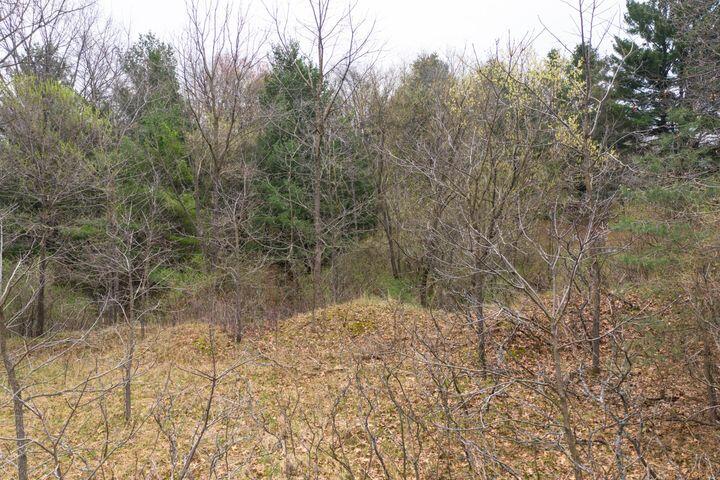 0 Bond Street Harrison, MI 48625 - Photo 4 of 14 20230417174700148771000000-o