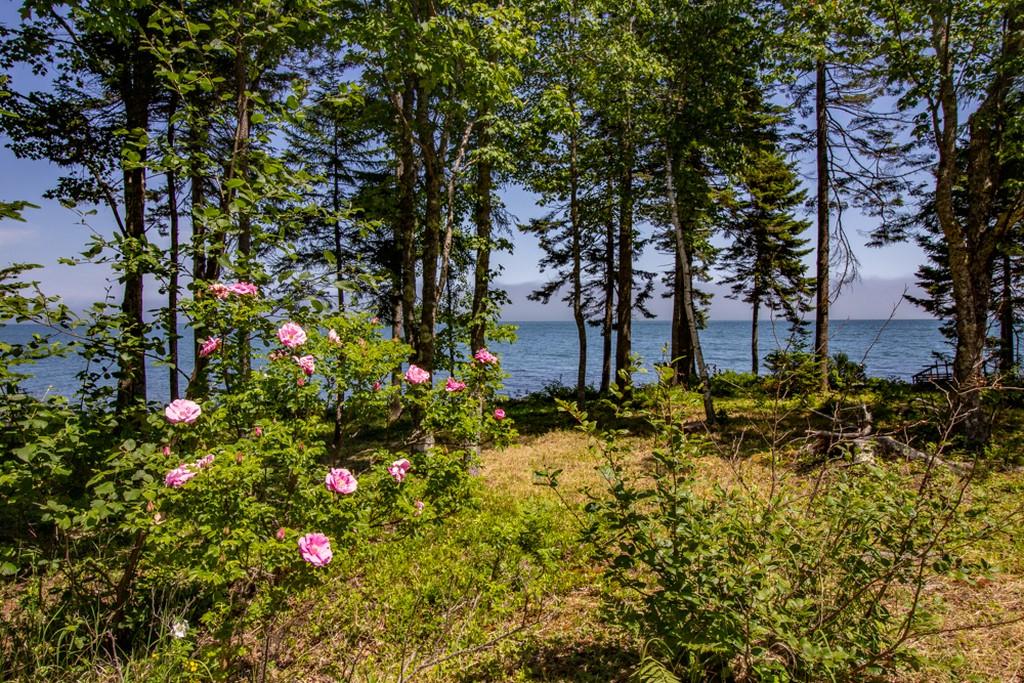 367 Paul Bunyan Road Corea, ME 04624 - Photo 5 of 64 005 (Copy)