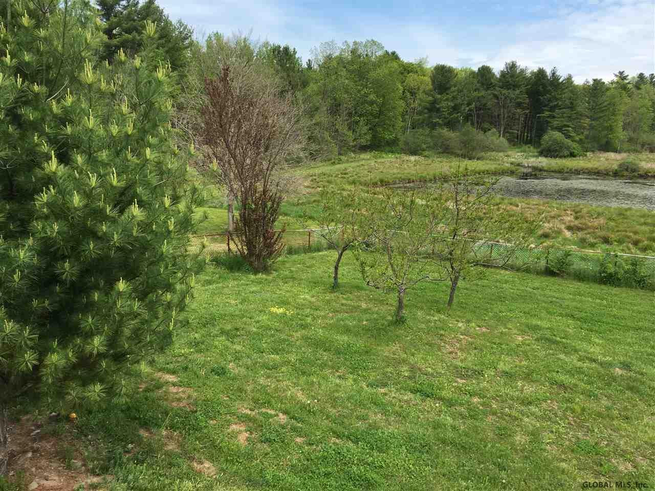 298 Sunset Road Westerlo, NY 12083 - Photo 5 of 17 Photo 10