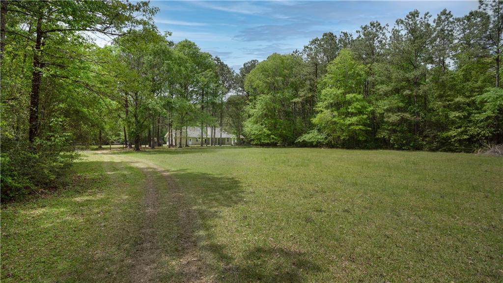 81500 Bob Baxter Road Bush, LA 70431 - Photo 23 of 24 Gallery Image 23