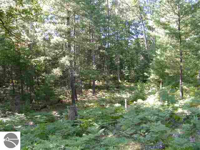 5315 Scout Camp Road Traverse City, MI 49696 - Photo 8 of 20 1735425-7.JPG