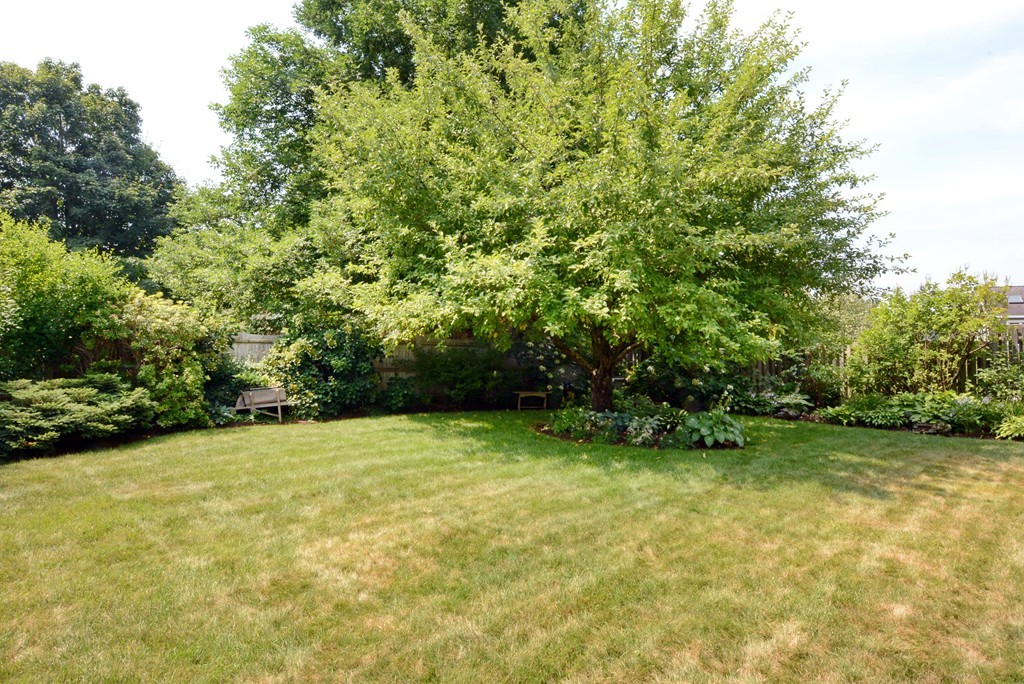 19 Lanthorn Road Northborough, MA 01532 - Photo 30 of 30 a view of a green yard