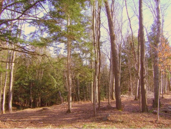 43 East Countryside Road Waterbury, VT 05676 - Photo 1 of 1 Gallery Image 1