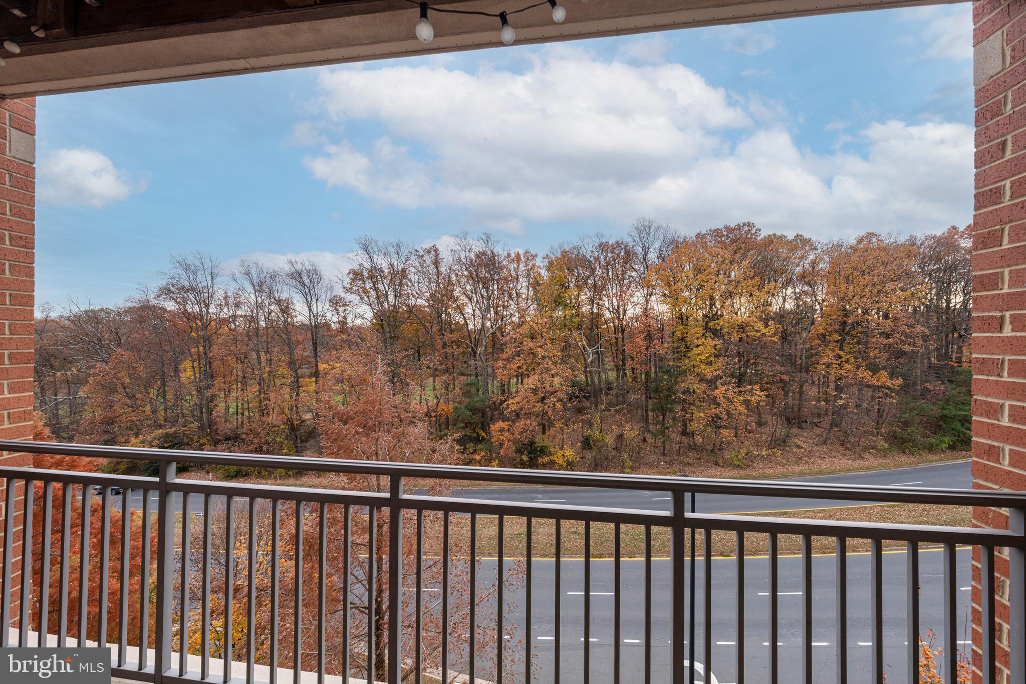 11770 Sunrise Valley Drive, Unit 321 Reston, VA 20191 - Photo 22 of 36 a view of a balcony with wooden fence