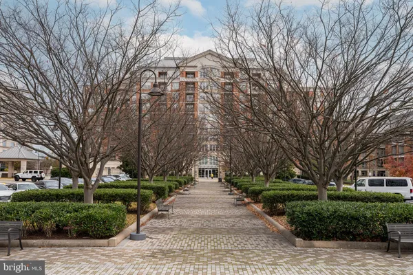 a walkway with trees on sides