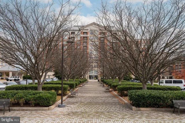 a walkway with trees on sides