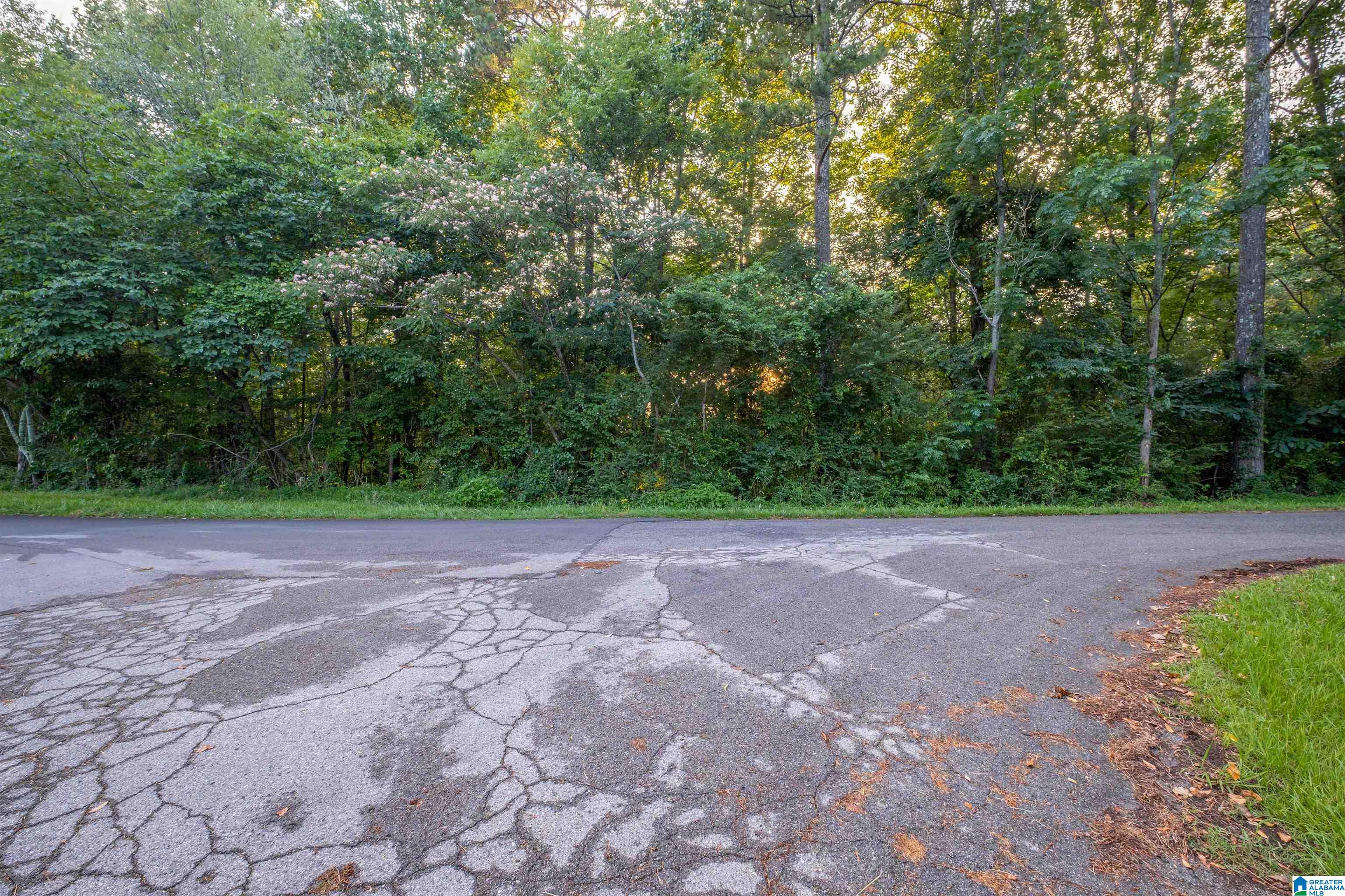 0 Levine Road, Unit X Odenville, AL 35120 - Photo 10 of 16