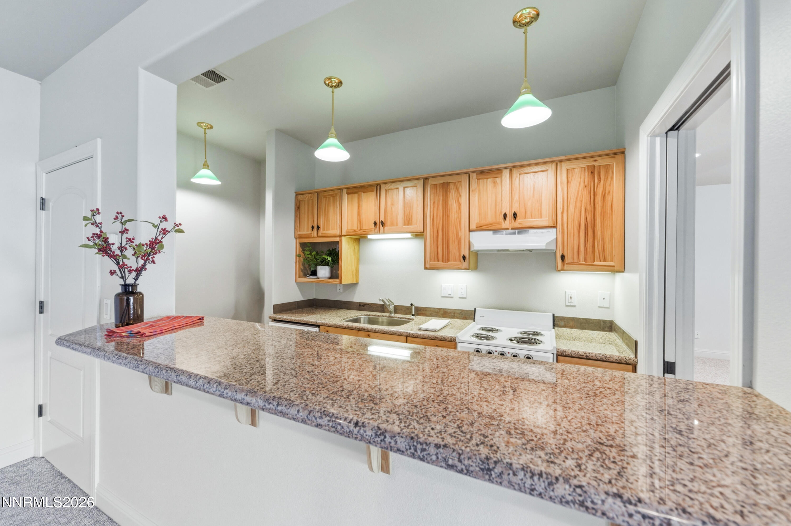 7450 Bryan Canyon Road Washoe Valley, NV 89704 - Photo 19 of 36 18