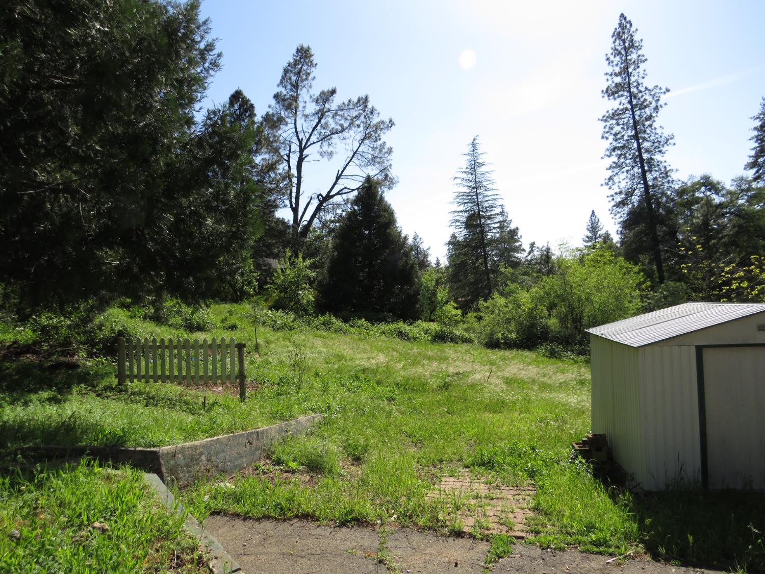 24040 Tokayana Way Colfax, CA 95713 - Photo 57 of 70 Side meadow