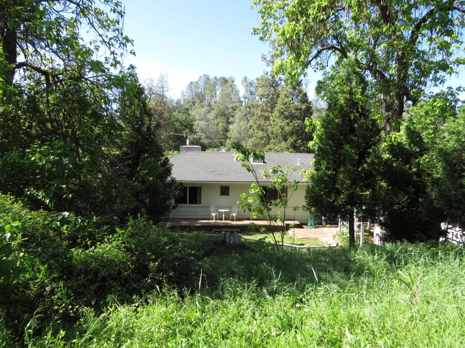 24040 Tokayana Way Colfax, CA 95713 - Photo 58 of 70 View from the back areage