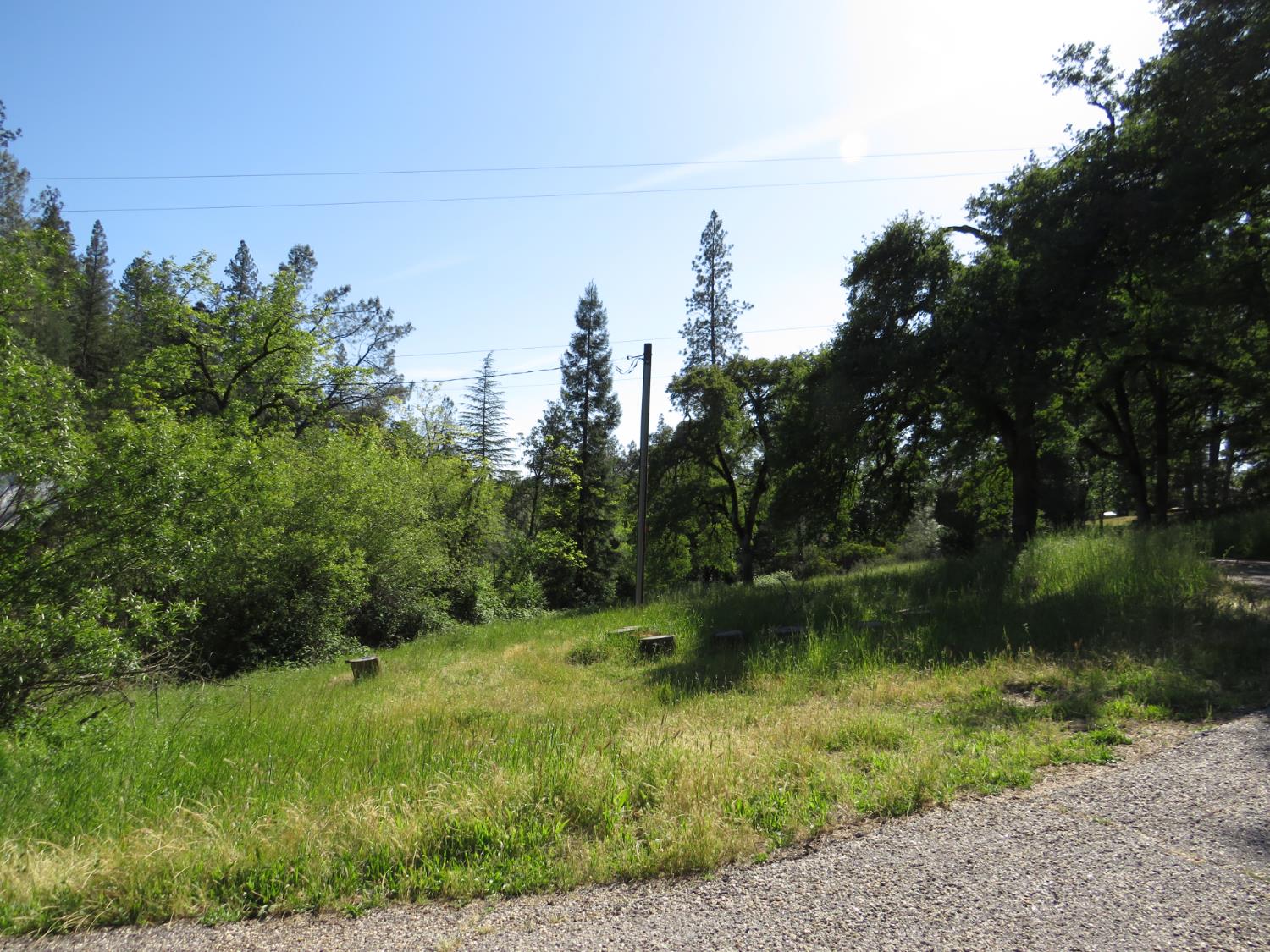 24040 Tokayana Way Colfax, CA 95713 - Photo 61 of 70 Front meadow