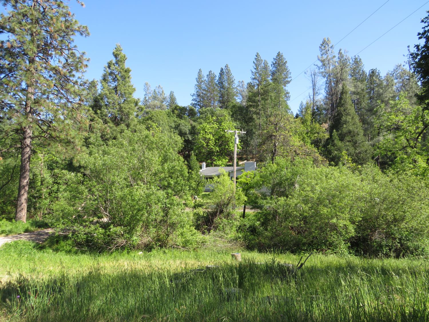 24040 Tokayana Way Colfax, CA 95713 - Photo 62 of 70 View from Tokayana Way
