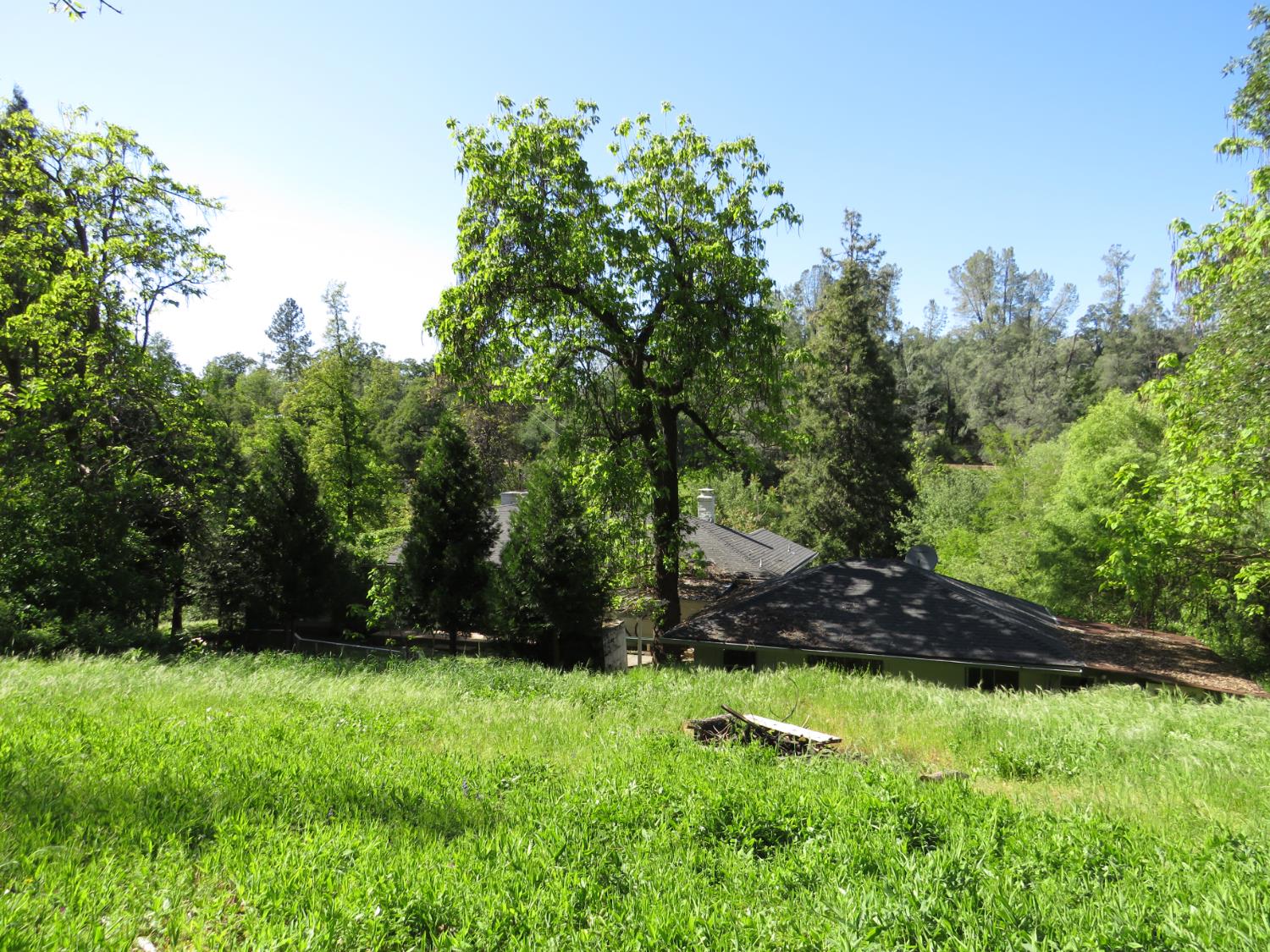 24040 Tokayana Way Colfax, CA 95713 - Photo 66 of 70 Back meadow
