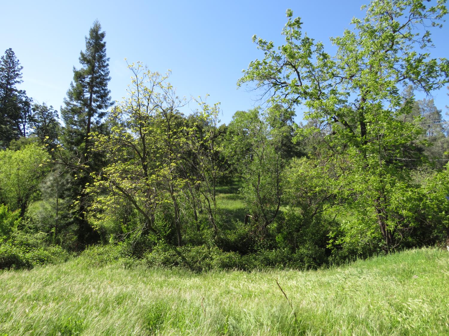 24040 Tokayana Way Colfax, CA 95713 - Photo 67 of 70 Spring fed yearly creek area.