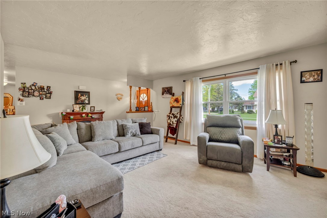 1141 Novak Road Grafton, OH 44044 - Photo 11 of 40 Gallery Image 11