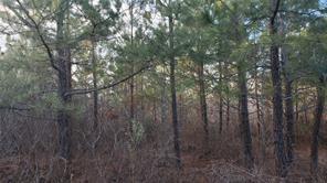 Friend Road Blackstone, VA 23824 - Photo 9 of 26 Gallery Image 9