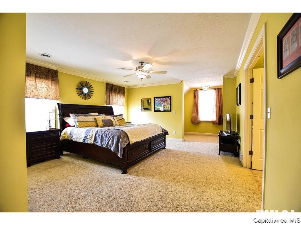 6420 Winterberry Lane Springfield, IL 62712 - Photo 12 of 33 Gallery Image 12