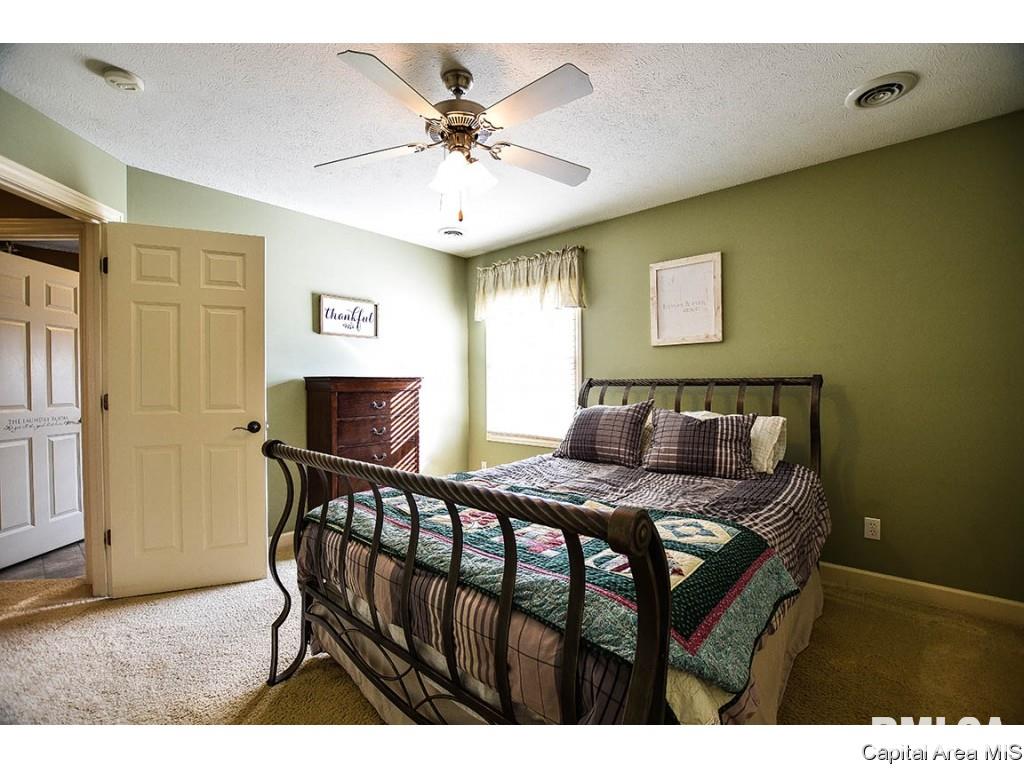6420 Winterberry Lane Springfield, IL 62712 - Photo 18 of 33 Gallery Image 18