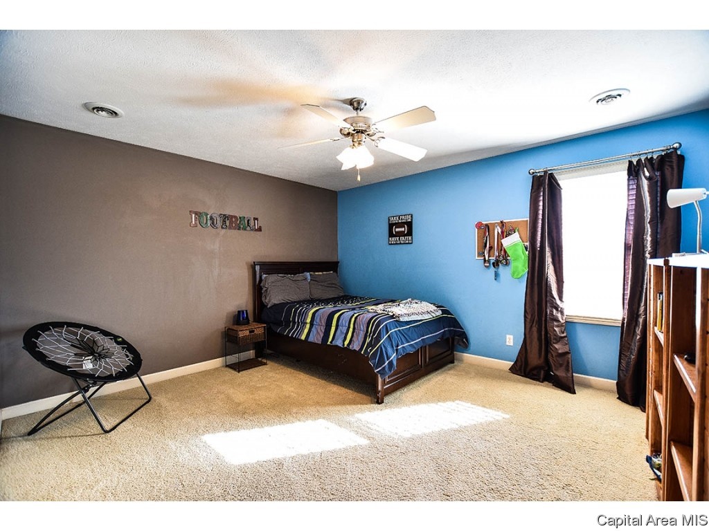 6420 Winterberry Lane Springfield, IL 62712 - Photo 19 of 33 Gallery Image 19